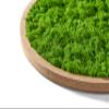 WANDMAGIE Heart Moss Wall Art with Frame, Light Green, 50 x 54 cm view 2