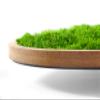 WANDMAGIE Heart Moss Wall Art with Frame, Light Green, 50 x 54 cm view 3