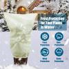 PRELGOSP Winter Plant Protection Covers, 80 x 120 cm, White, 4-Pack view 2