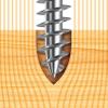 Evotrade Panelvit TX Torx Wood Screws, Self-Tapping, No Predrilling, Lubricated, Corrosion-Resistant, Free T20 Bit per Pack view 4