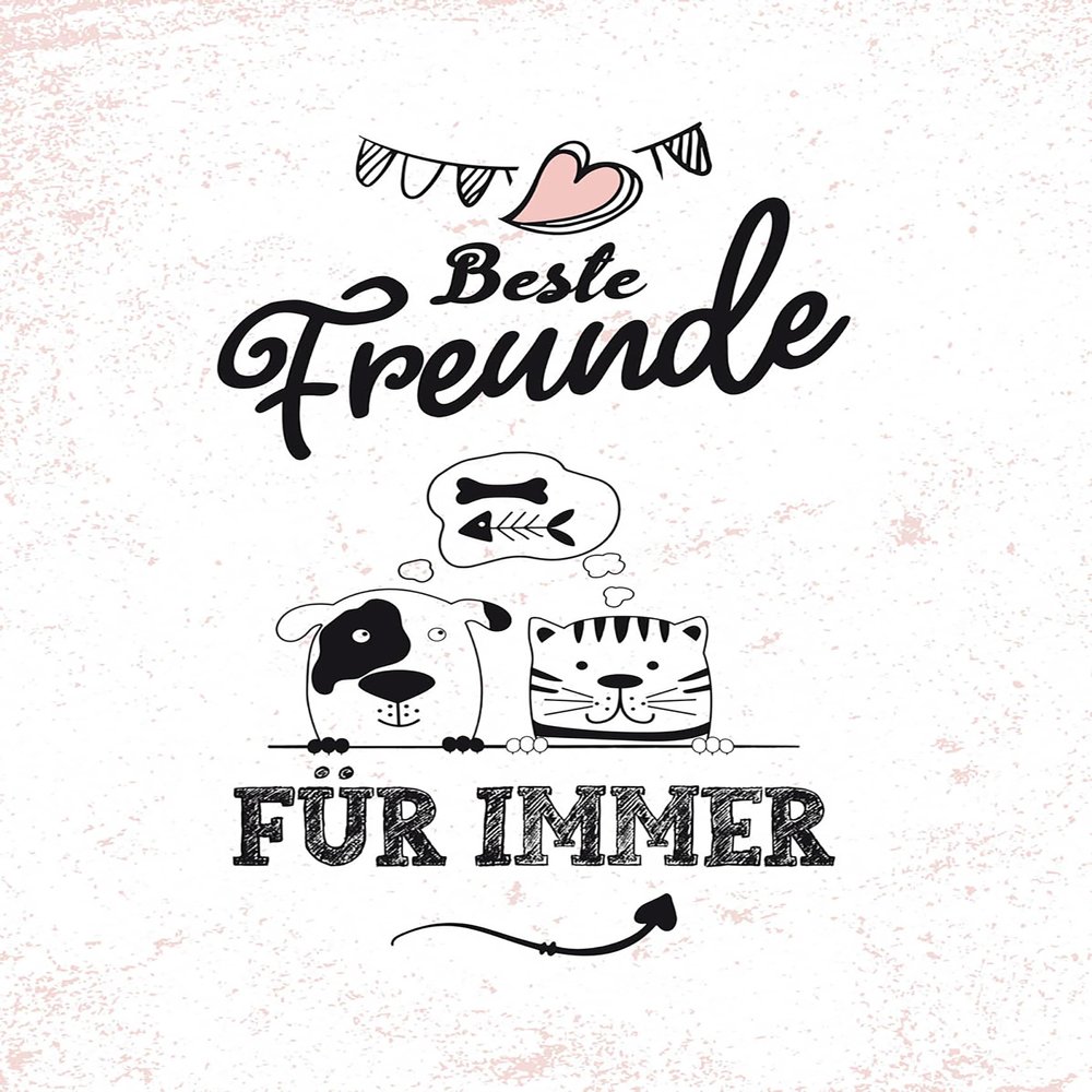 Tin Sign 18x12 cm Best Friends Forever Wall Decor Bar Pub Collector's Gift