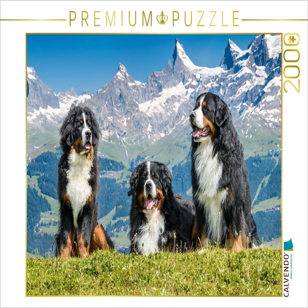 Puzzle: Bernese Mountain Dogs in Switzerland