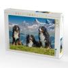 Puzzle: Bernese Mountain Dogs in Switzerland view 4