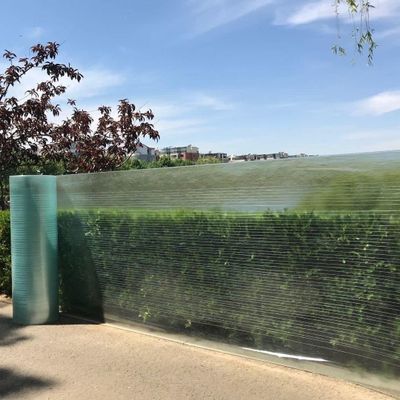 Outdoor Polycarbonate Greenhouse Roof Panel, 0.8 mm Thick, 39.4 x 6.6 in
