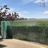 Outdoor Polycarbonate Greenhouse Roof Panel, 0.8 mm Thick, 39.4 x 6.6 in view 1