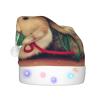 OPSREY Cute Guinea Pig Printed Adult Light-Up Christmas Hat view 2