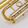 Student Trumpet Professional Brass Instrument with High C view 4