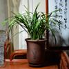 DSHUB Purple Sand Ceramic Orchid Pot with Tray view 2