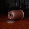DSHUB Purple Sand Ceramic Orchid Pot with Tray view 3