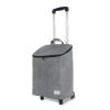 XTGDIEM 40L Lightweight Shopping Cart with Aluminum Frame, Telescoping Handle and Wheels view 1