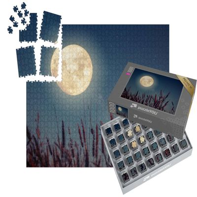 puzzleYOU: SMART SORTED Full Moon Over Autumn Grain