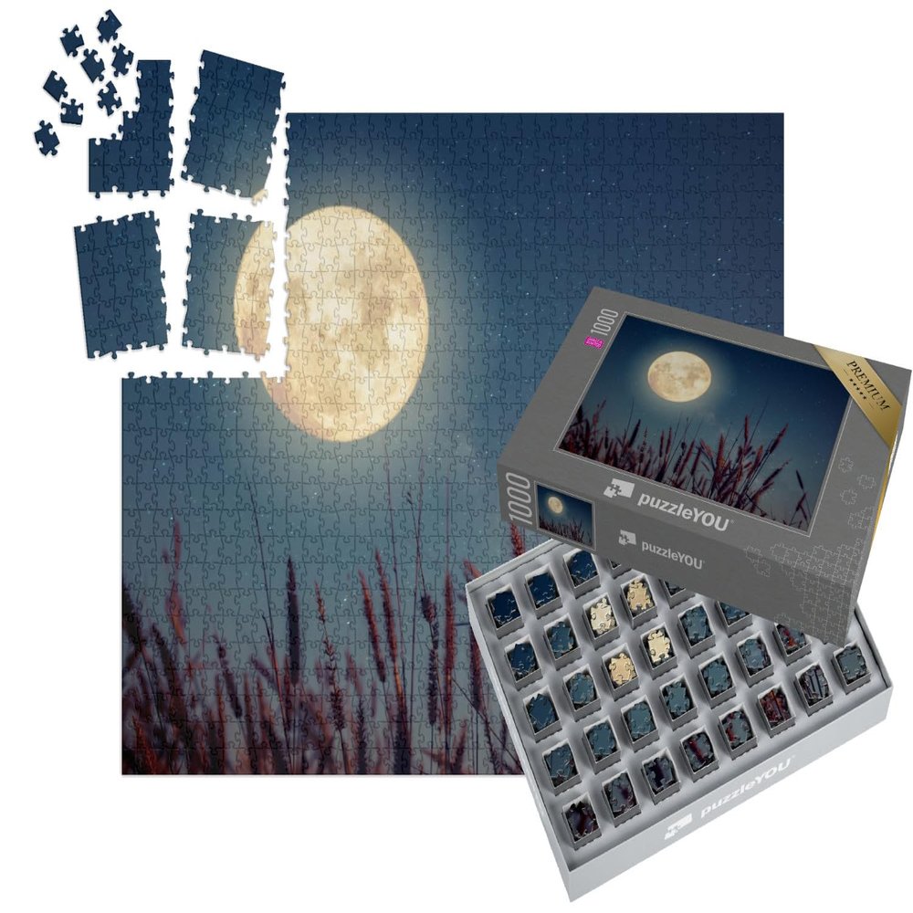 puzzleYOU: SMART SORTED Full Moon Over Autumn Grain