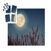 puzzleYOU: SMART SORTED Full Moon Over Autumn Grain view 2