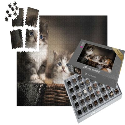 puzzleYOU: SMART Sorted | 1,000-Piece Puzzle Made Easy – Three Cute Kittens, Close-Up