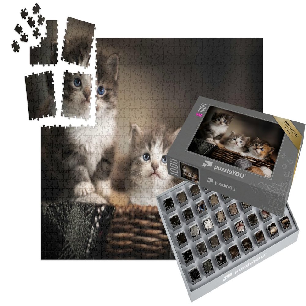 puzzleYOU: SMART Sorted | 1,000-Piece Puzzle Made Easy – Three Cute Kittens, Close-Up