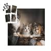 puzzleYOU: SMART Sorted | 1,000-Piece Puzzle Made Easy – Three Cute Kittens, Close-Up view 2
