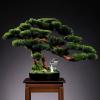 Artificial Bonsai Tree, 25.6 Inches view 4