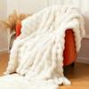 Tospass Cozy Blanket 200 x 230 cm, Beige, Faux Fur and Flannel, Thick and Plush view 2
