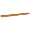 Hovothy Corten Steel Raised Garden Bed 960 x 100 x 36 cm view 2