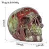 LEADGEM 3-Inch Dragon Bloodstone Crystal Skull Figurine view 3
