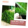 minkissy 5-Piece Stainless Steel Mesh Aquarium Moss Nets for Aquatic Grass and Underwater Plants view 3