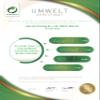 New Year's Eve Letterhead DIN A4 - Sylvester Party Paper - 20 Sheets - Design No. 009 | 200 g/m² view 3