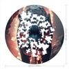 Fire Tiger Circular Jigsaw Puzzle, 1000 Pieces view 4