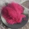 SYSUII 50-Piece Natural Turkey Feathers, 4–6 in, Burgundy view 1