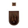 Samnuerly 304 Stainless Steel Wall-Mounted Automatic Sensor Urinal view 1