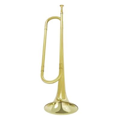 SCTOU Metal Trumpet, Professional Brass Instrument for Music School, Band, and Beginner Orchestra