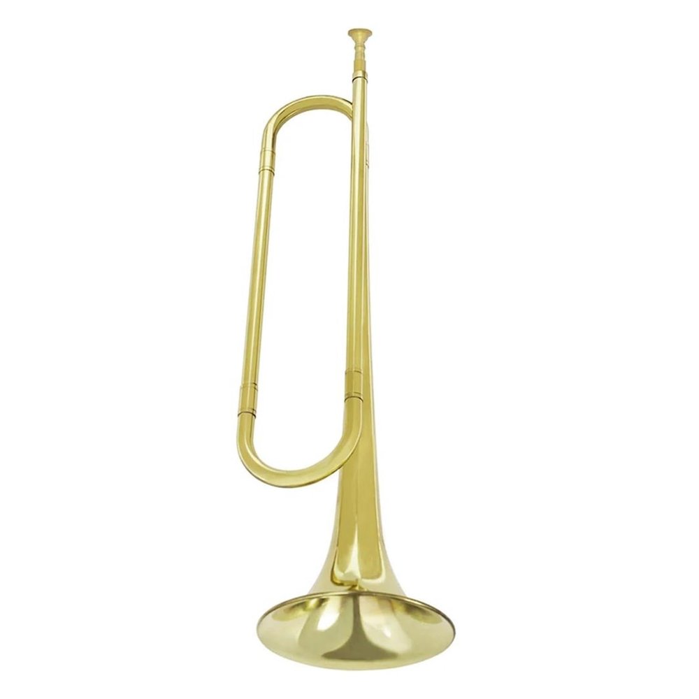 SCTOU Metal Trumpet, Professional Brass Instrument for Music School, Band, and Beginner Orchestra