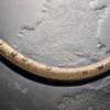hansgrohe Designflex Universal Textile Shower Hose, 2.00 m, Brushed Bronze view 4