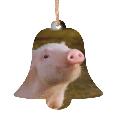 Never Wrestle with Pigs Printed Wooden Christmas Ornaments