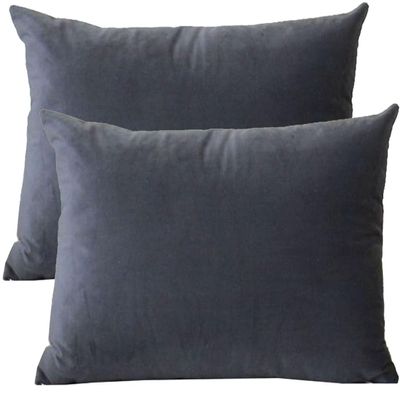 Decorative Velvet Pillow Covers with Zipper, 2-Pack