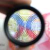 FGHGF Premium 30x 40 mm Measuring Loupe Magnifier for Coins, Stamps, and Jewelry view 3