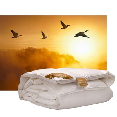 iSleep Gold Goose Down Single Duvet (Warmth Class 2) (200 x 220 cm)