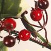 SUNMME 40 cm Artificial Christmas Wreath with Pine Cones and Red Berries view 4