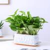 DSHUB Rectangular Ceramic Pots for Succulents and Plants view 2
