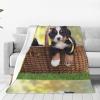 Bernese Mountain Dog Puppy Flannel Throw Blanket, 200 x 150 cm view 1