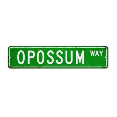 Vintage Metal Tin Sign, Green Opossum, Home Decor, Custom Street Art Poster Gift, 4 x 18 in