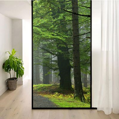 Static-Cling Window Film, Privacy, Heat Control, UV Protection, Natural Forest Landscape, 2 Frosted Films, W 19.7 x H 47.2 in (50 x 120 cm)