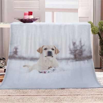 Cozy Blanket 140 x 200 cm, Labrador Snowy Landscape 3D Flannel Fleece Throw, Soft Warm Sofa and Bed Blanket, F109
