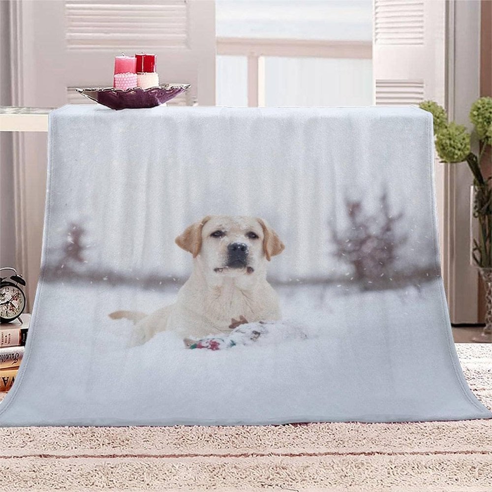 Cozy Blanket 140 x 200 cm, Labrador Snowy Landscape 3D Flannel Fleece Throw, Soft Warm Sofa and Bed Blanket, F109
