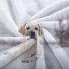 Cozy Blanket 140 x 200 cm, Labrador Snowy Landscape 3D Flannel Fleece Throw, Soft Warm Sofa and Bed Blanket, F109 view 3