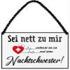 Metal Sign "Be Nice to Me, I Might Be a Night Nurse" 18 x 12 cm view 1