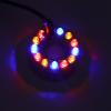 Mini Fog Maker with 12 Colorful LEDs view 4