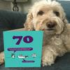 Modern Toss - "Age 70 Milestone Birthday Card" - Cheeky 70th Birthday Card for Him or Her view 2