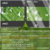 ZHJSHOU Transparent Patio Tarp with Eyelets, 2 x 4.2 m, Pavilion Rain Protection view 2
