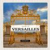 Metal Sign 30 x 40 cm Palace of Versailles France Tourism view 1