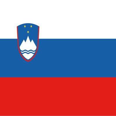 Metal Sign 30 x 40 cm, Slovenia Flag, Wall Decor, Café, Collector's Gift